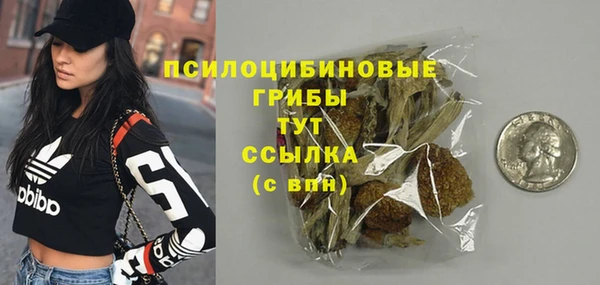 шишки Абинск