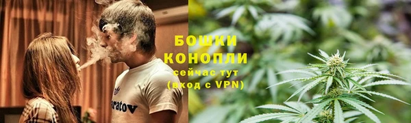 шишки Абинск