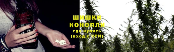шишки Абинск