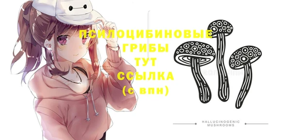 шишки Абинск