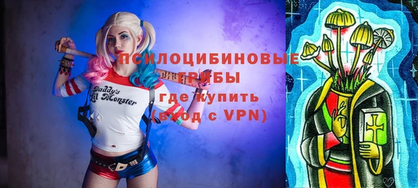 шишки Абинск